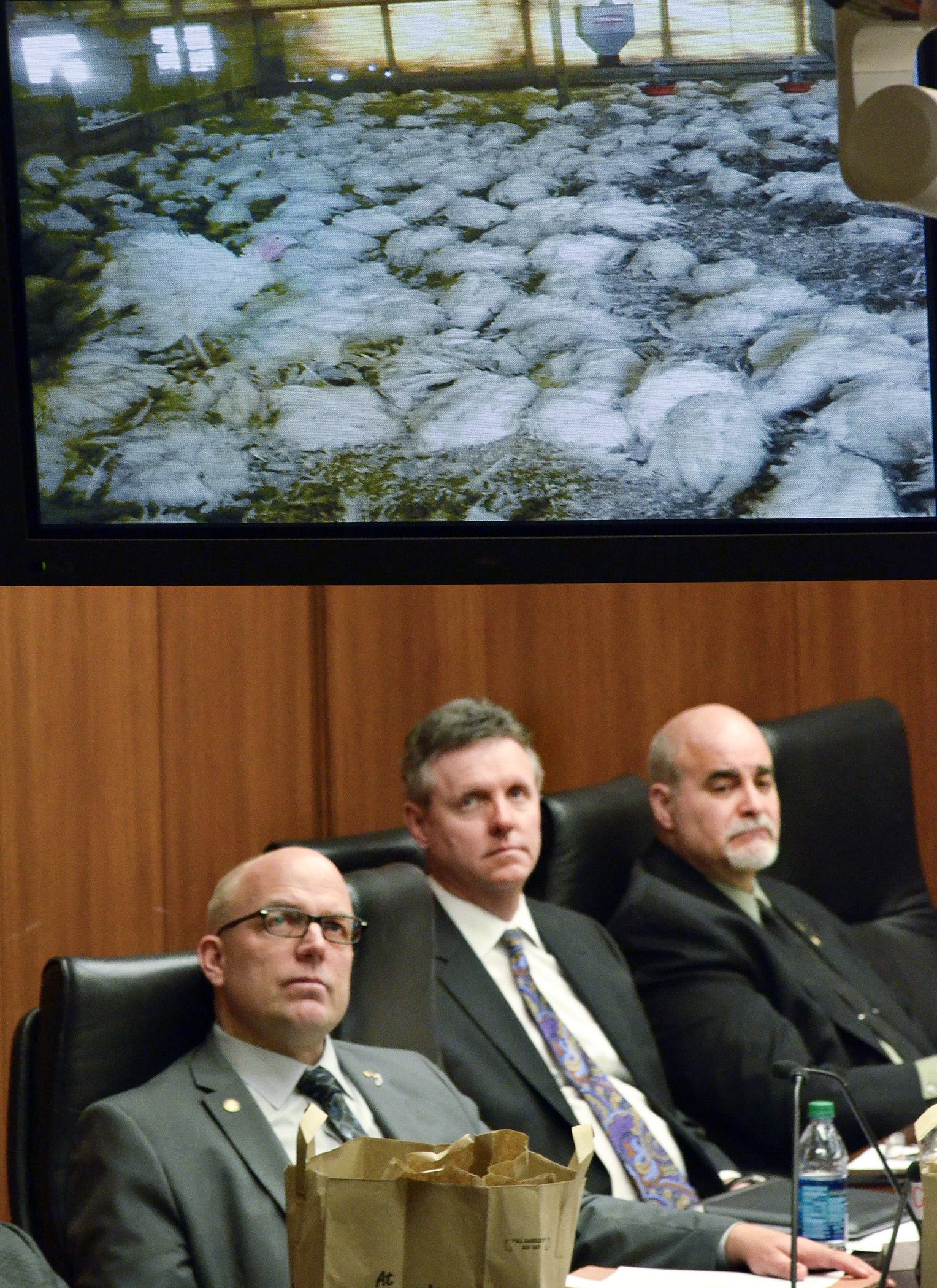 Members of the House agriculture policy and finance committees watch a sobering presentation updating the avian influenza threat at an April 16 joint hearing. Photo by Andrew VonBank